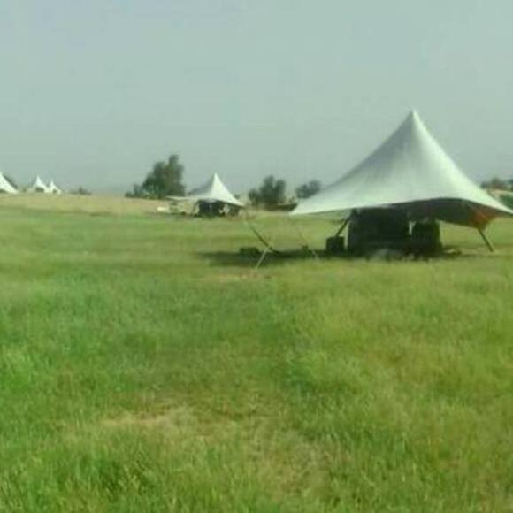 Meet your Posher, Abderhman - Picture 1 of 1